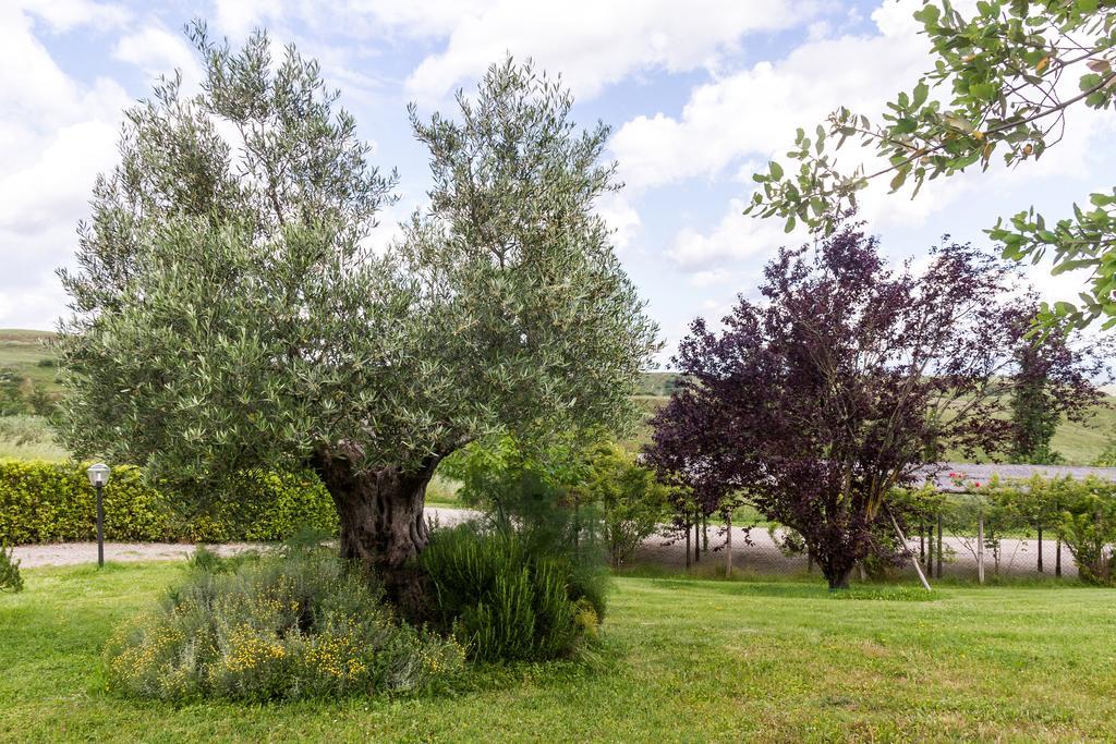 La Leopoldina Holiday Home Montaione Dış mekan fotoğraf